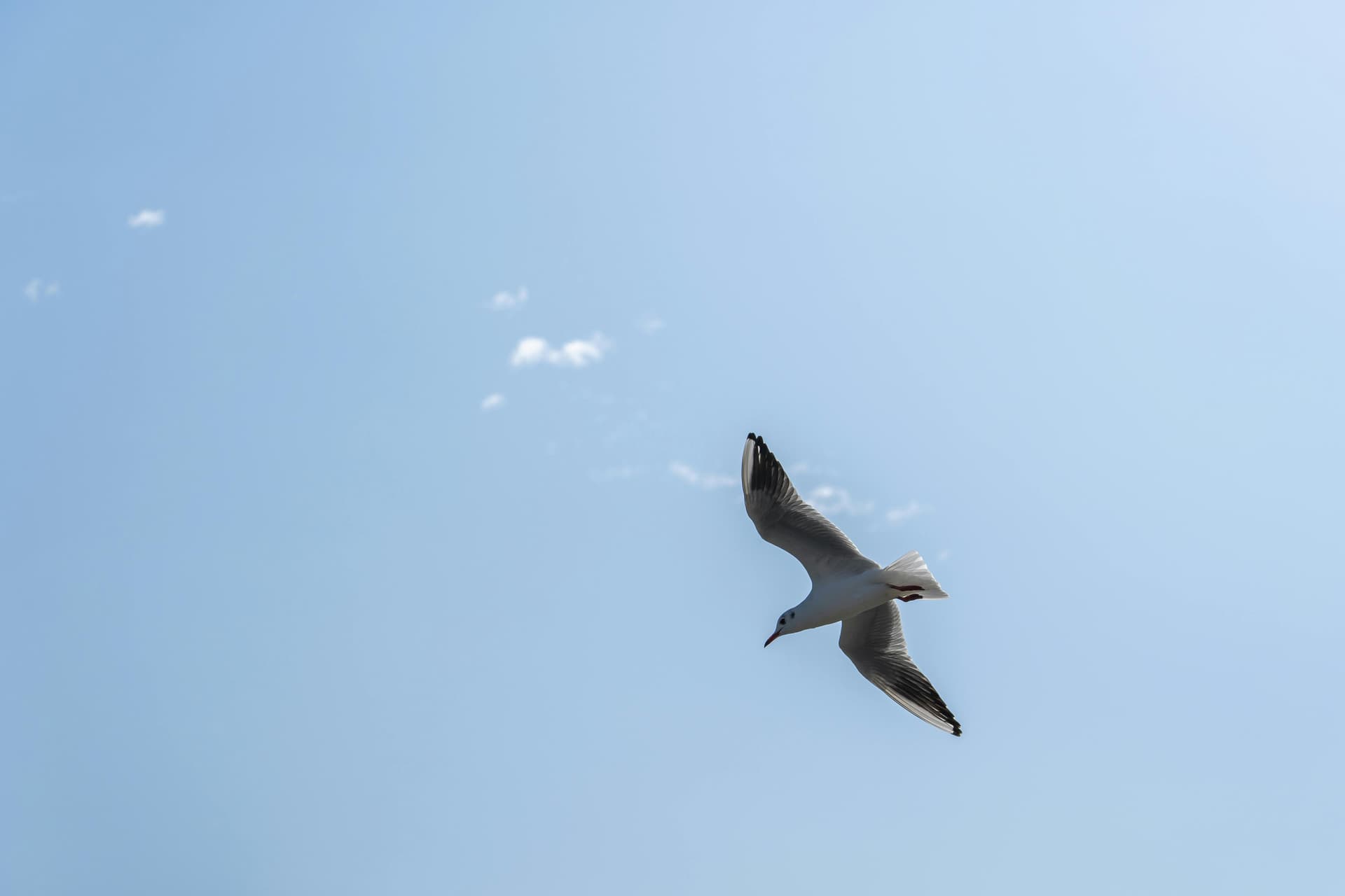 Pexels peter xie 371876898 35284047